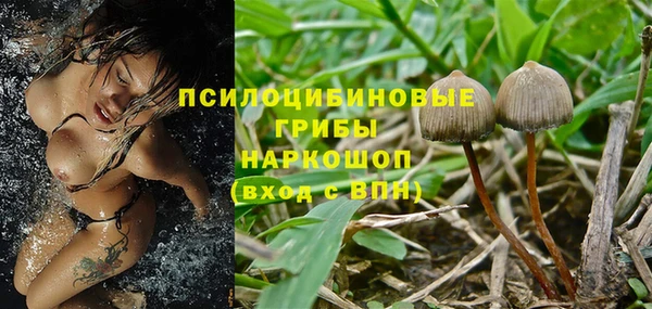 каннабис Алзамай