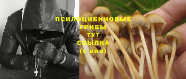 меф Алексин